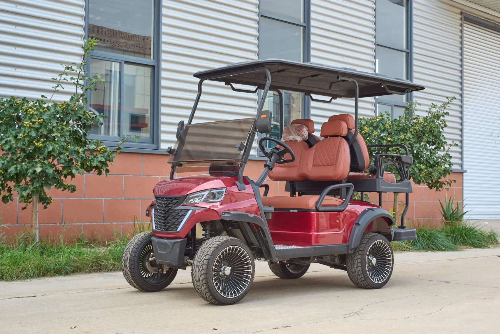 Multi-Function Dashboard Electric Golf Cart for Comprehensive Vehicle Data with Color LCD Screen