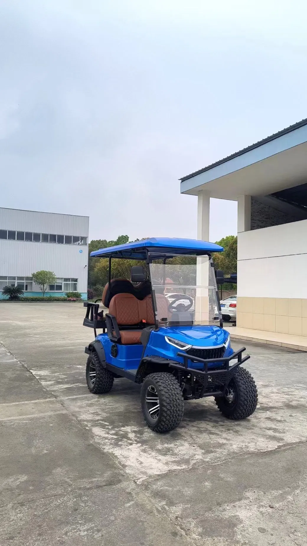 New Launched Lifted Chassis 2+2 Electric Golf Car Hunting Golf-Cart