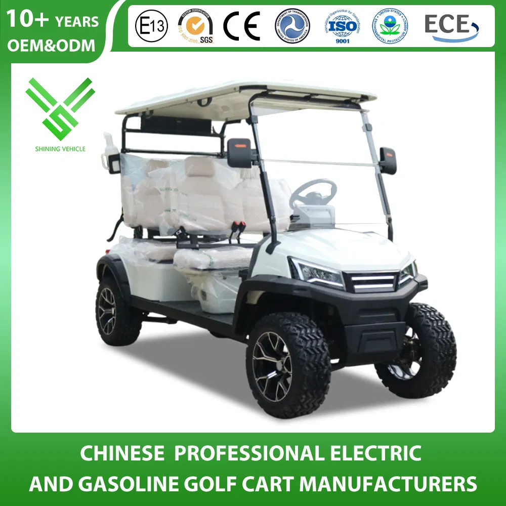 Shininglsv 4 Person Beach Camping with Roof Rack Lithium Battery Golf Cart