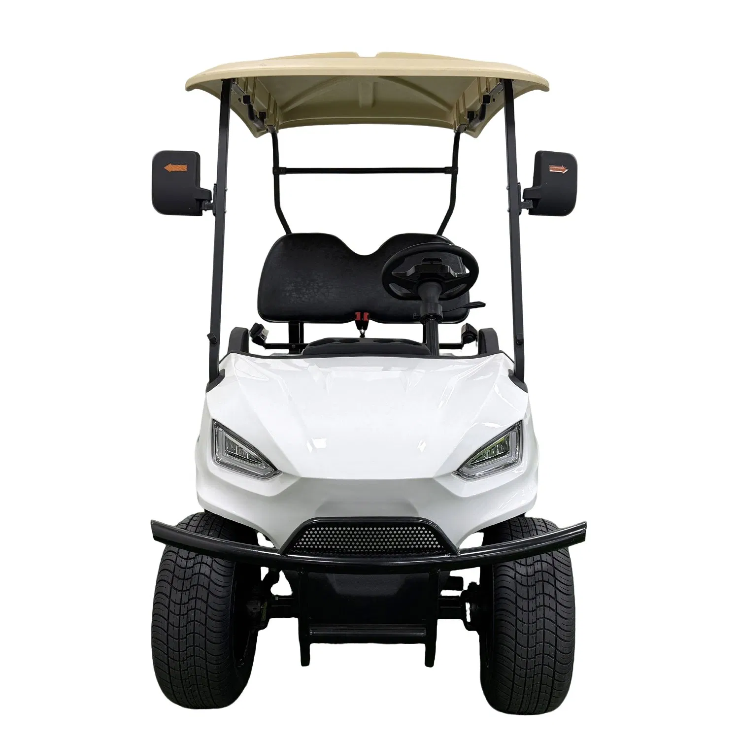 High Quality Anti-Rust Electric Lead Acid /Lithium Battery 2 Seats Lifted Golf Cart with Roof
