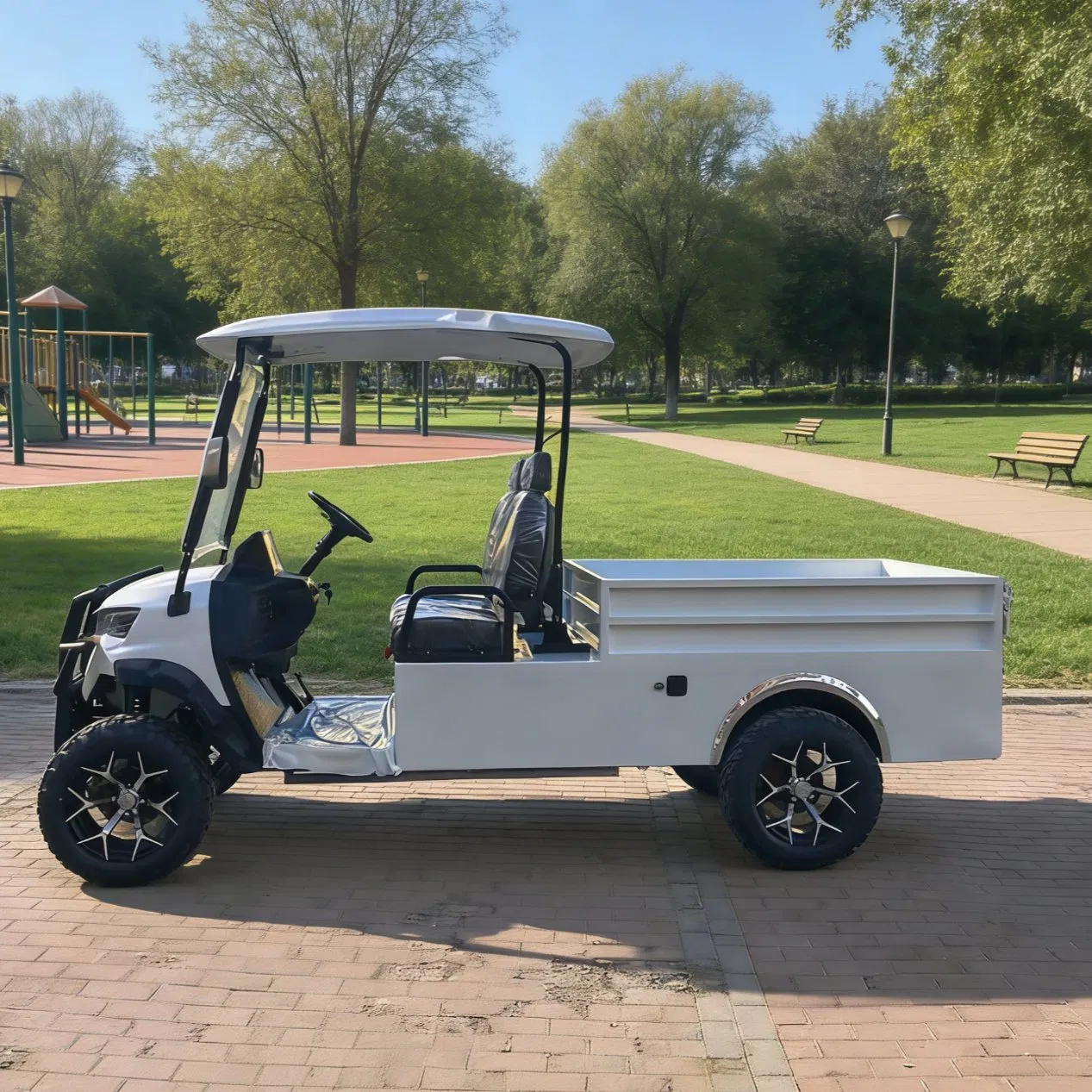 off-Road Golf Cart with Roof Rack for Luggage