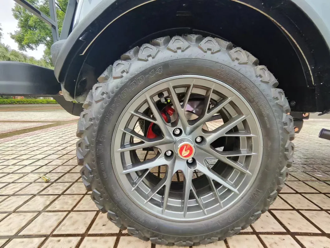 Electric UTV Photo 4