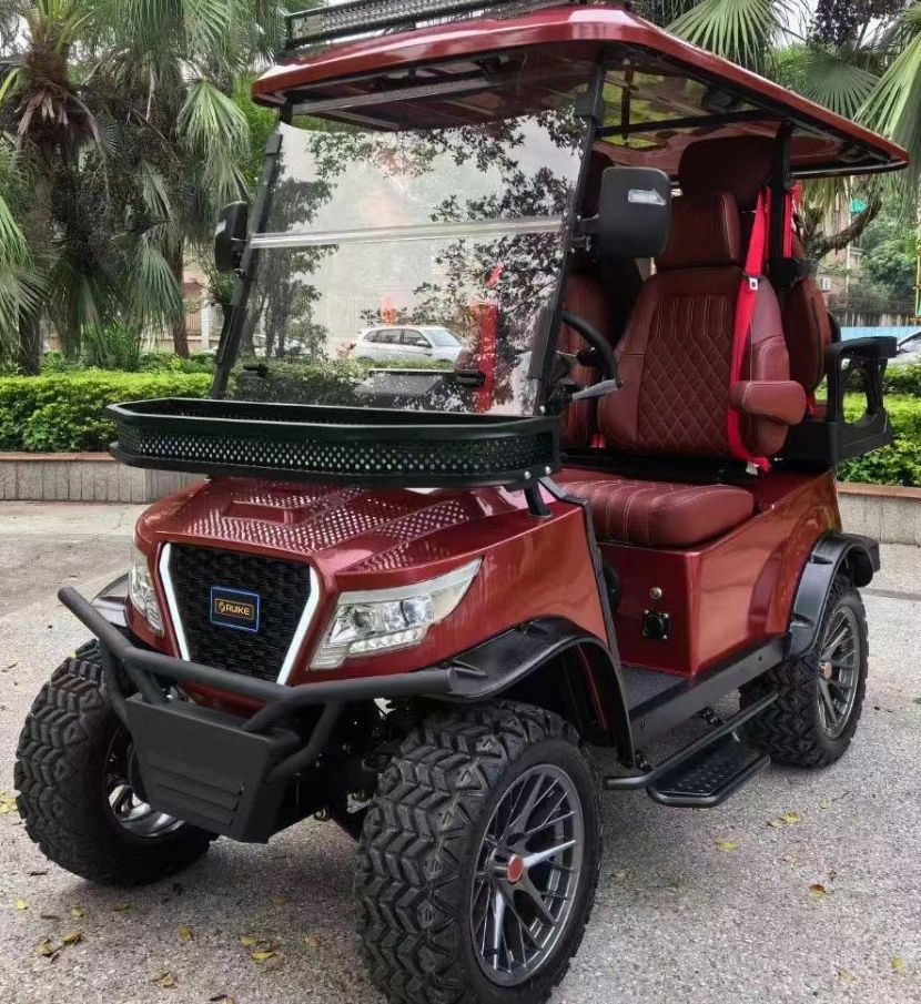 Multifunctional Back to Back Seat Electric Car Golf Buggy with Solar Panel