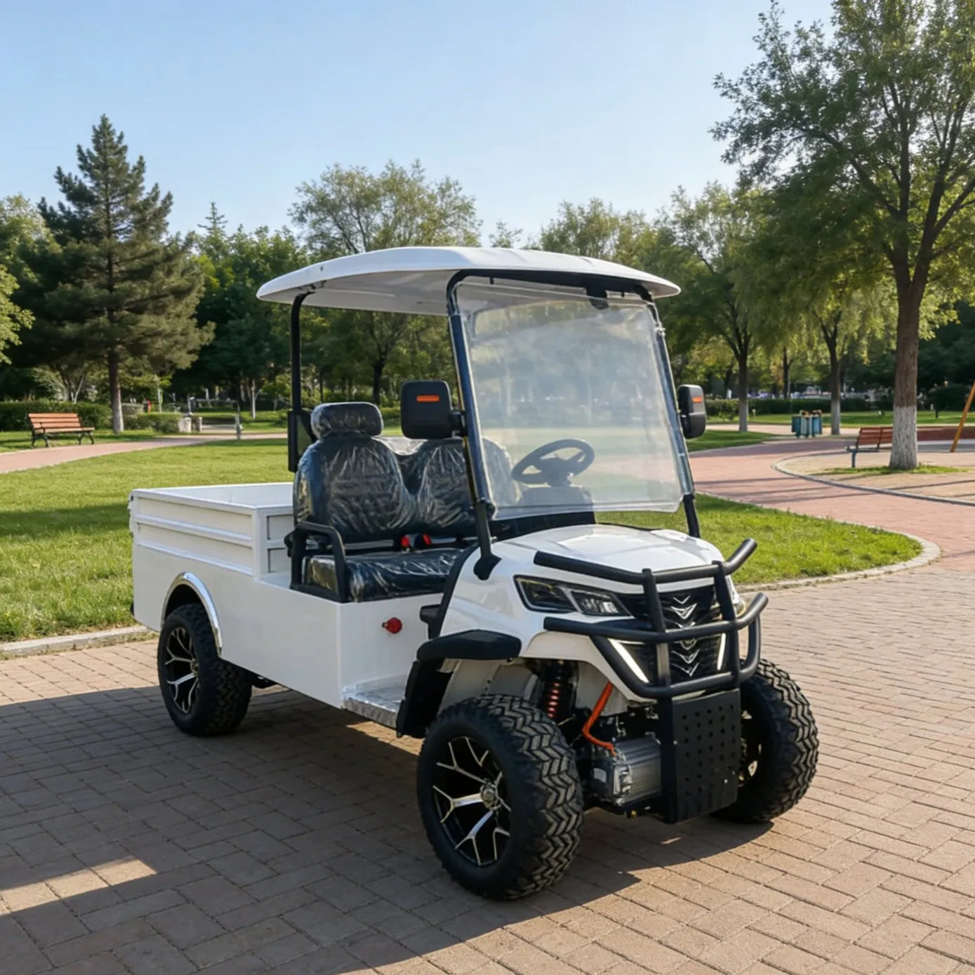 off-Road Golf Cart with Roof Rack for Luggage