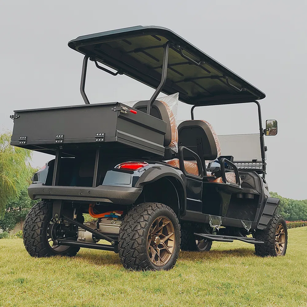 Electric Golf Cart Detail 2