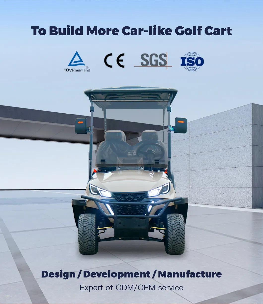 Luxury 6 Seater Electric Golf Cart