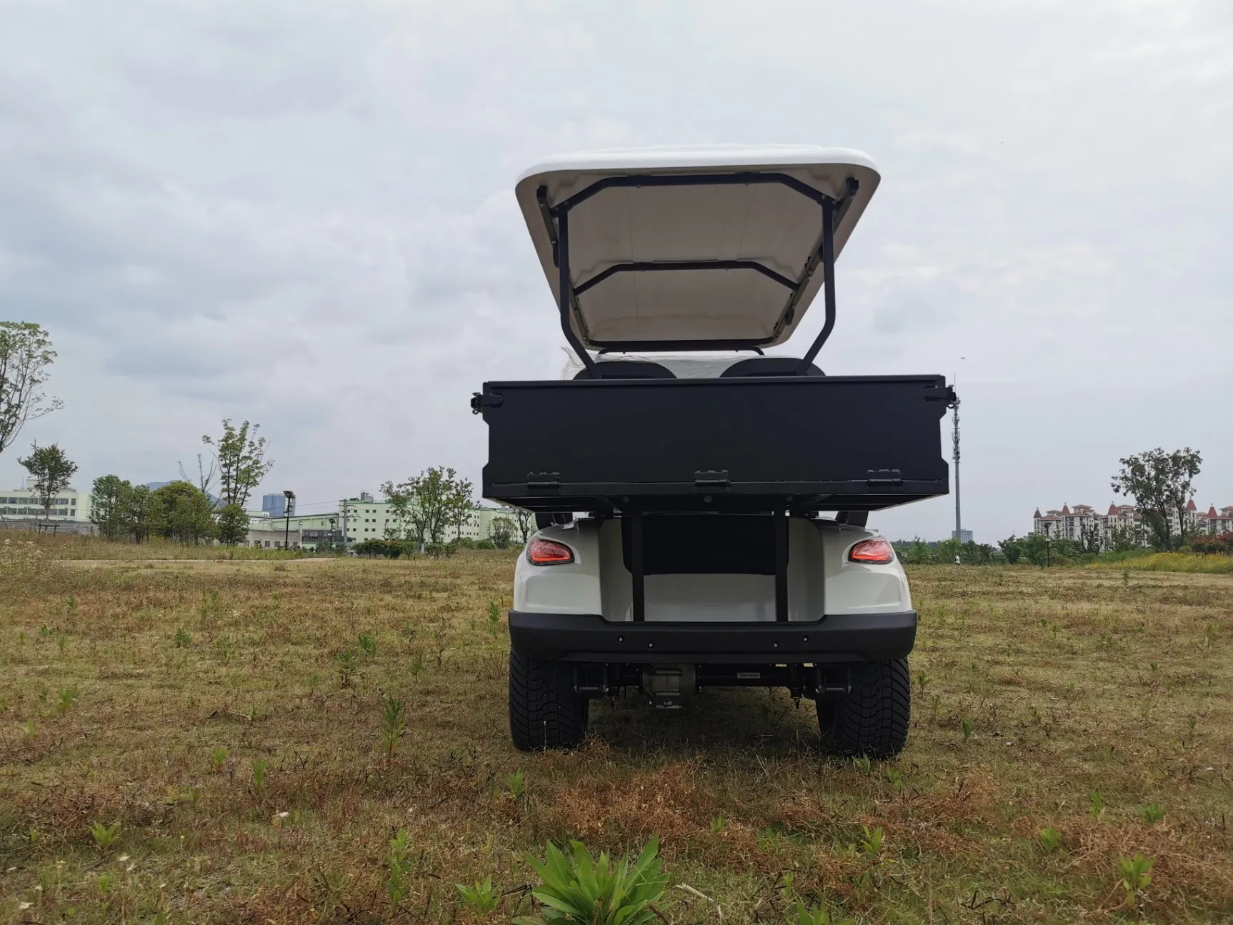 Electric G Model 2 Seater Golf Cart Rear Cargo Box