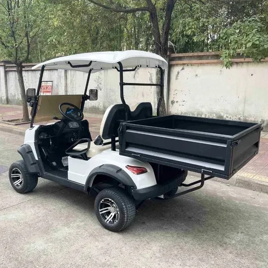 2 Seats Golf Cart 2