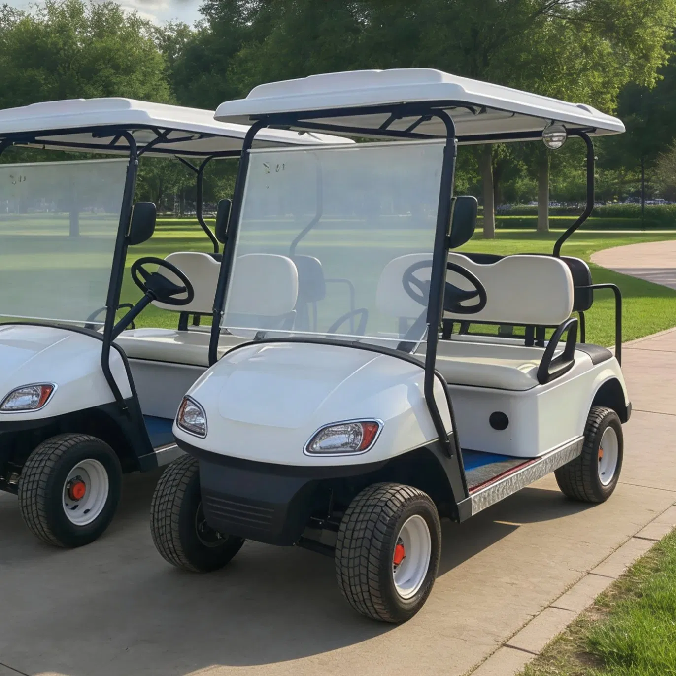 off-Road Golf Cart with Roof Rack for Luggage