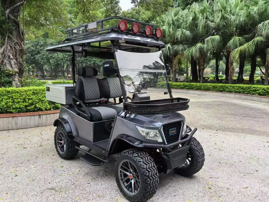 Electric Golf Cart View 2