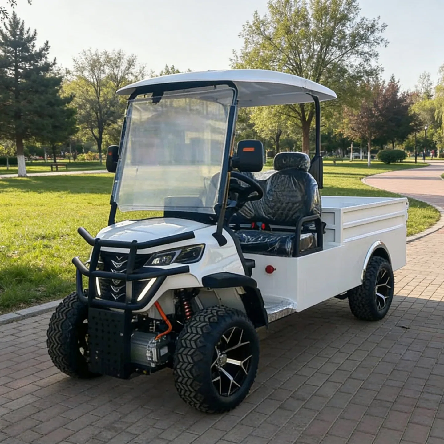off-Road Golf Cart with Roof Rack for Luggage