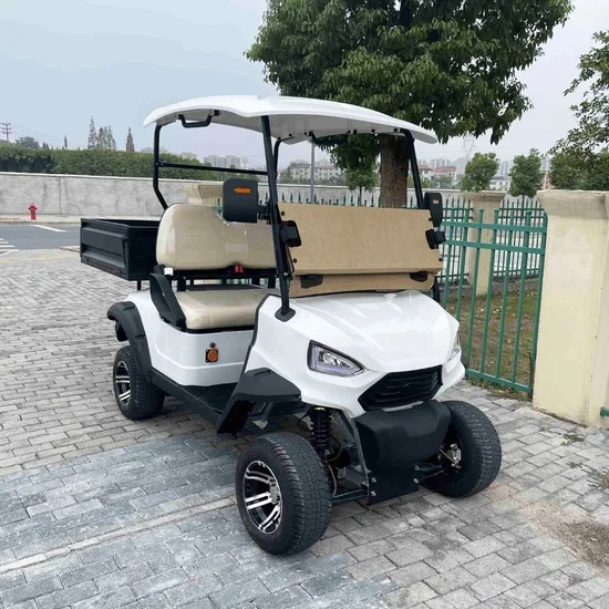 2025 2 Seats Golf Cart with Cargo Bucket