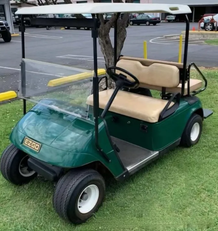 Golf Cart Windshield View 4