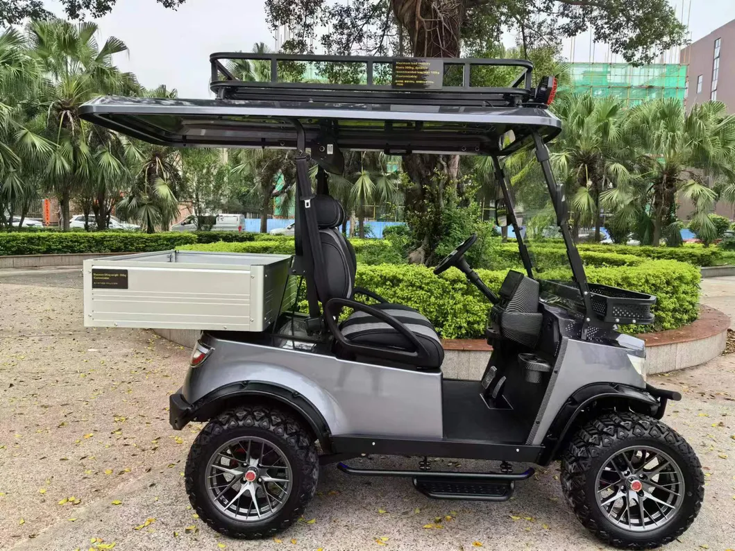 Electric Utility Car View 3