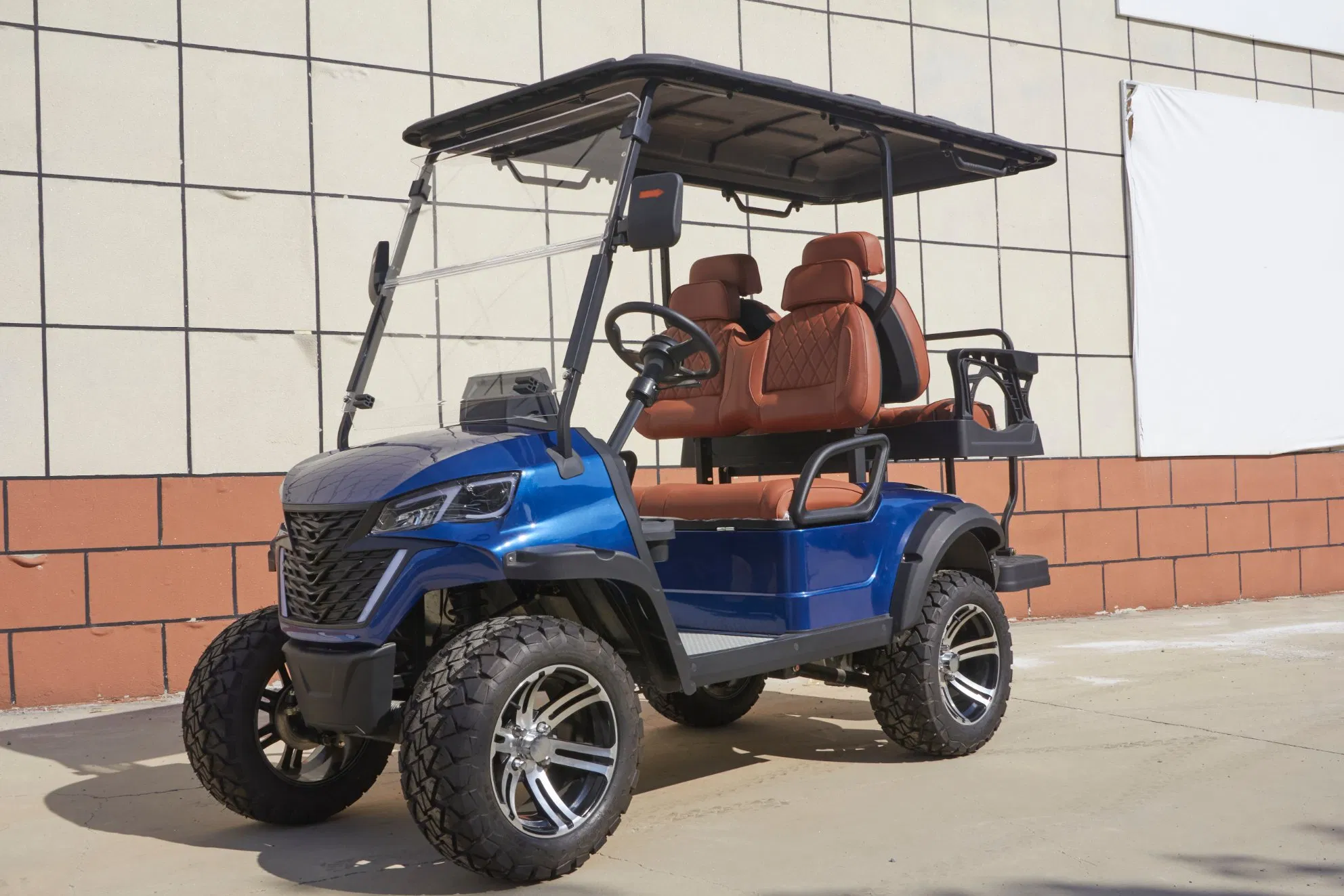 Multi-Function Dashboard Electric Golf Cart for Comprehensive Vehicle Data with Color LCD Screen