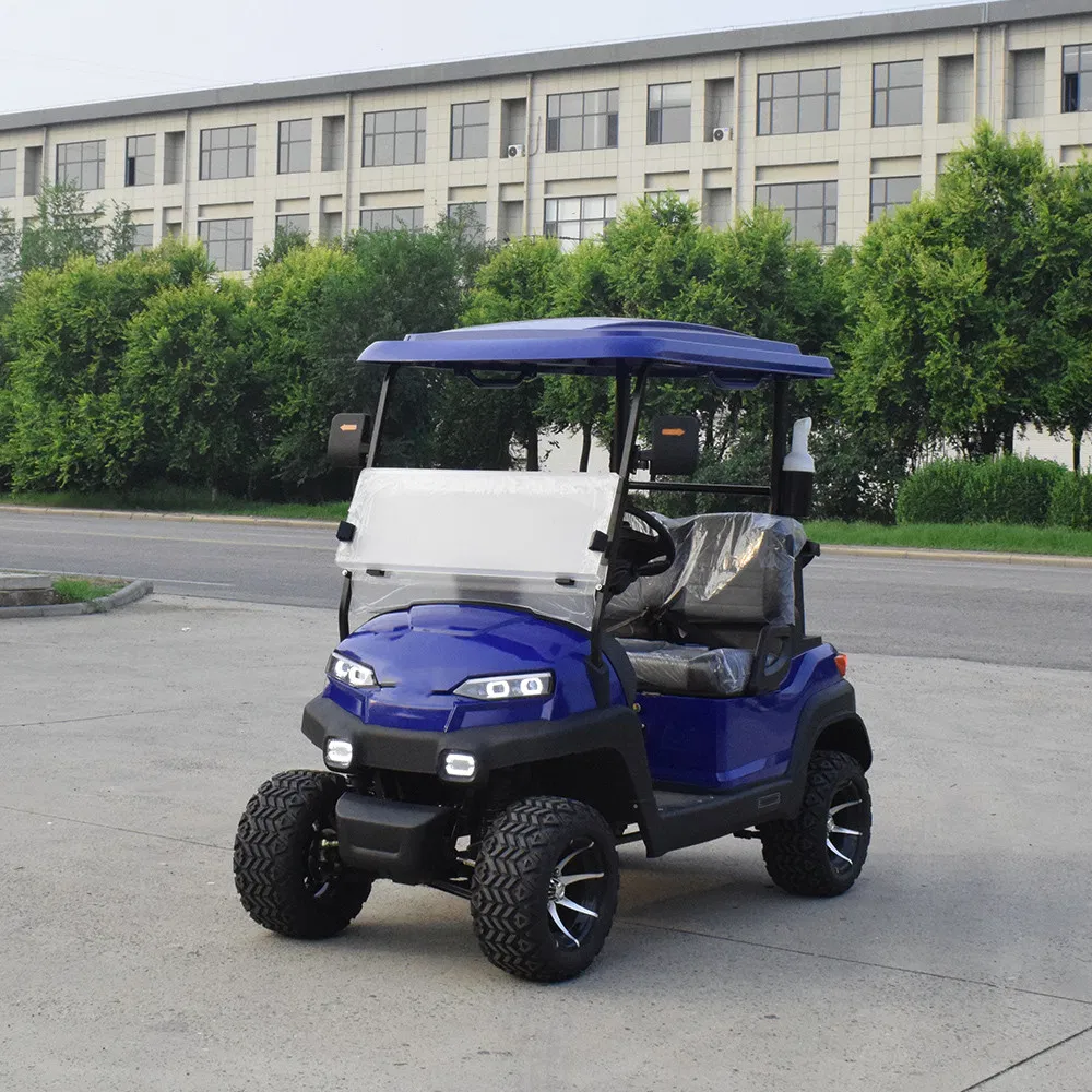 Electric Golf Cart Rear View