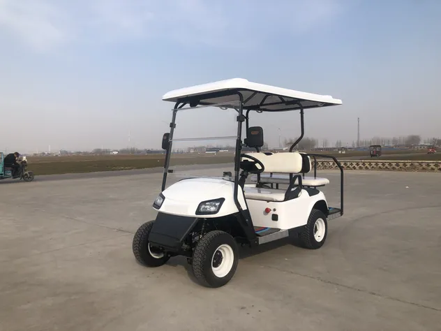 Multi Seat Golf Cart Rear Detail