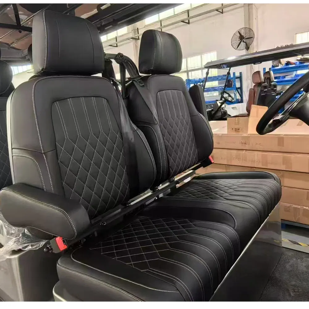 Electric Golf Cart Rear View