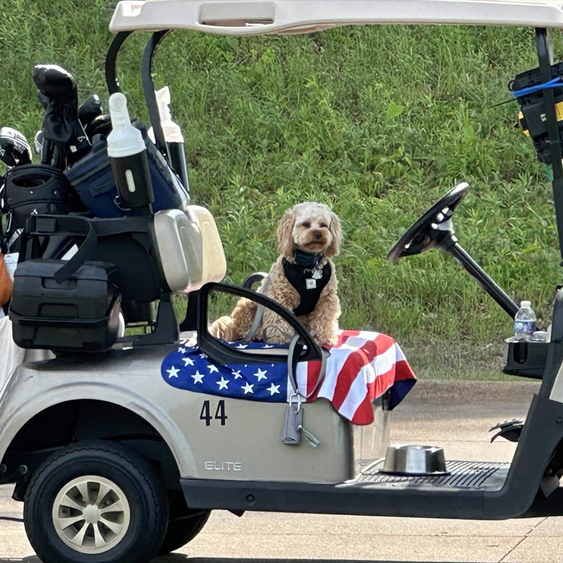 Customized Golf Cart Seat Cover Durable High Quality with Cheap Price