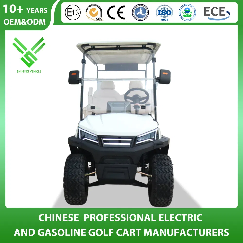 Shininglsv 4 Person Beach Camping with Roof Rack Lithium Battery Golf Cart