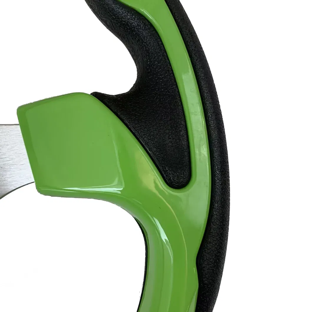 Steering Wheel View 2