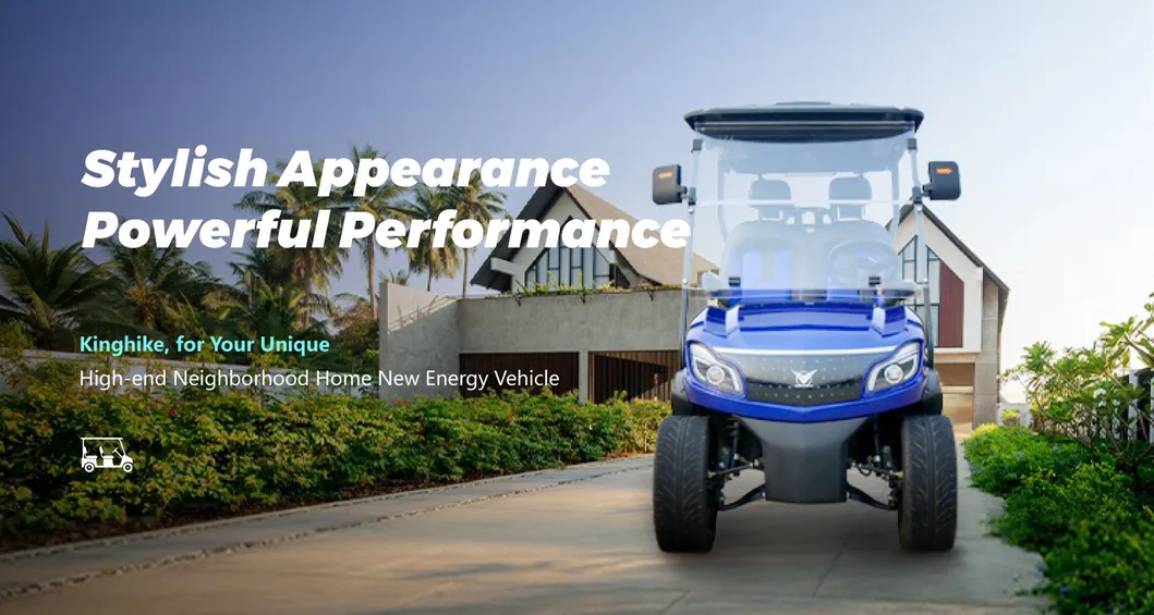 Golf Cart Roof Detail