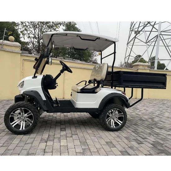 2025 2 Seats Golf Cart with Cargo Bucket