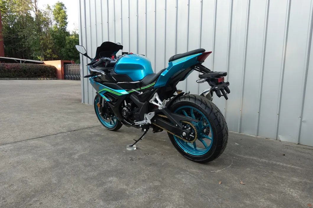 Motorcycle Efi System View