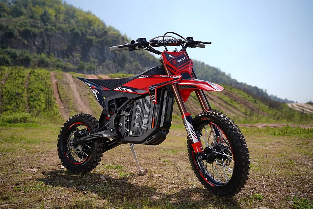 E-WOLF Trail Bike Detail 5