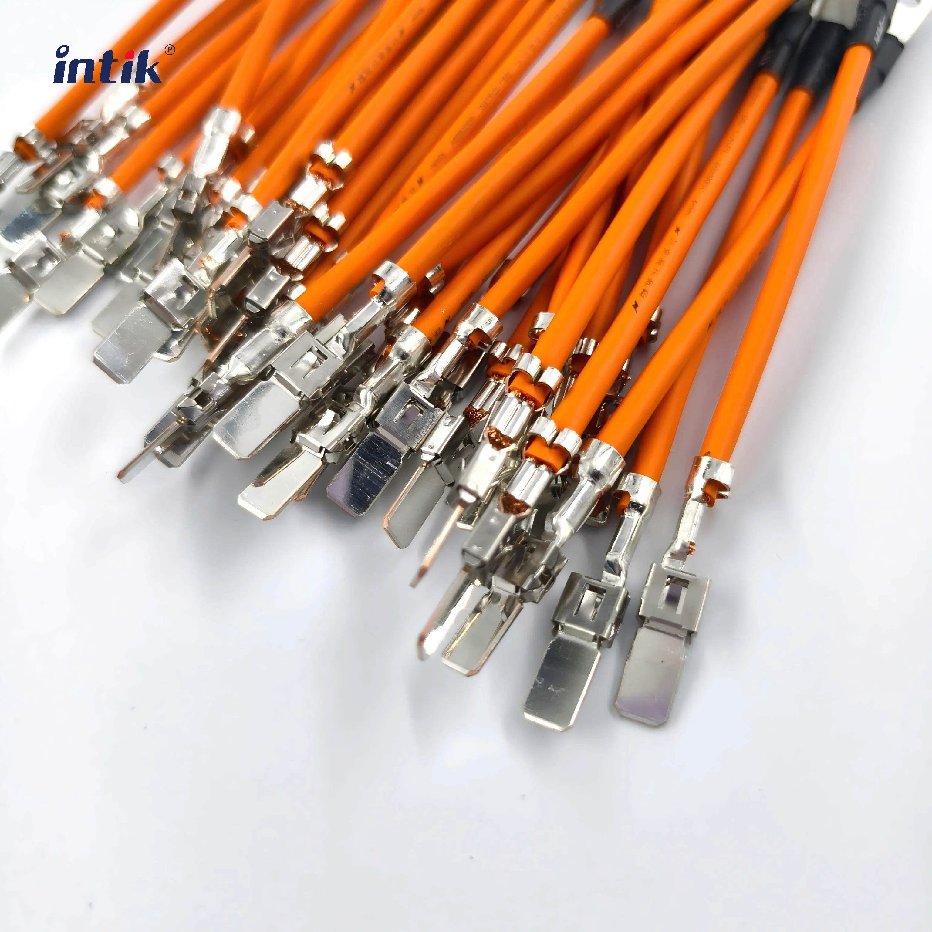 Electric Vehicle High-Voltage Battery Controller Wiring Harness Solution