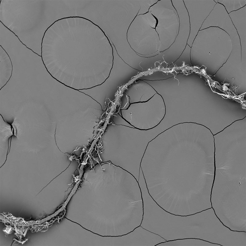 Factory Price Friction Material PARA Aramid Pulp for Brake Pad