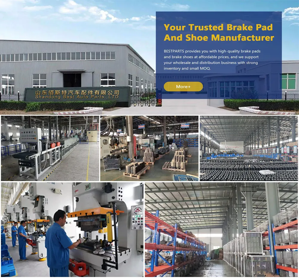 Factory Introduction