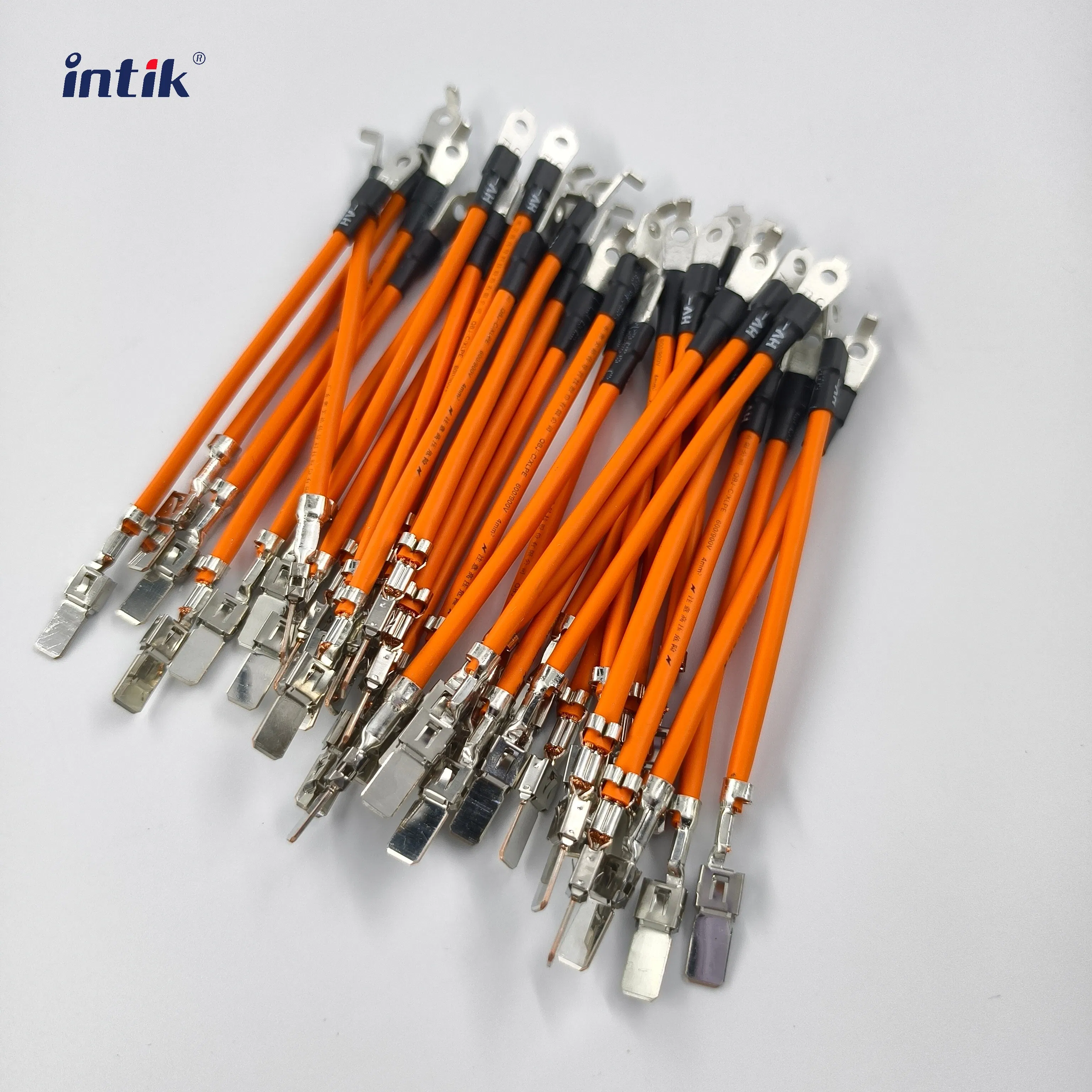 Electric Vehicle High-Voltage Battery Controller Wiring Harness Solution