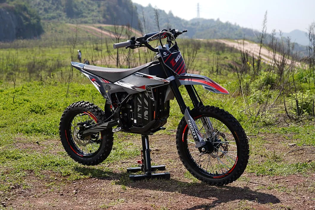 E-WOLF Trail Bike Detail 6