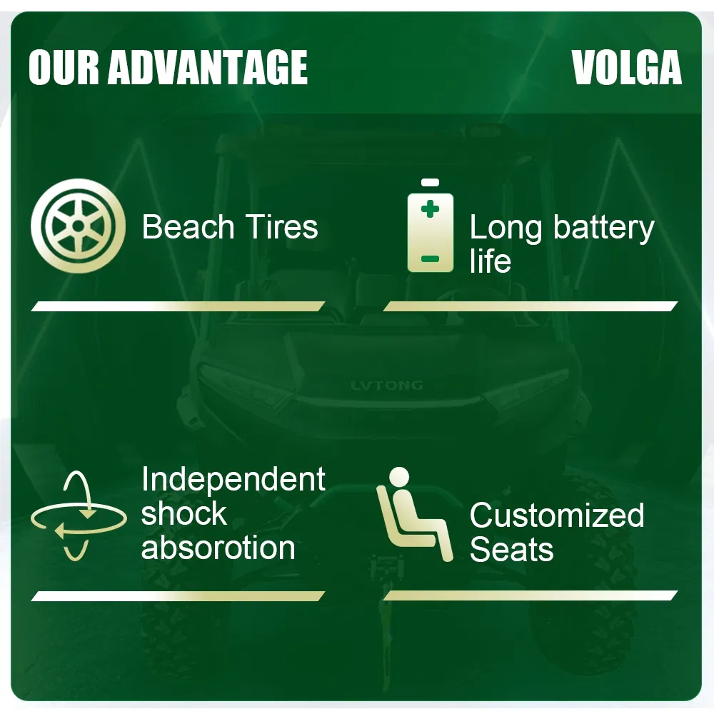 4WD Electric Buggy View 4