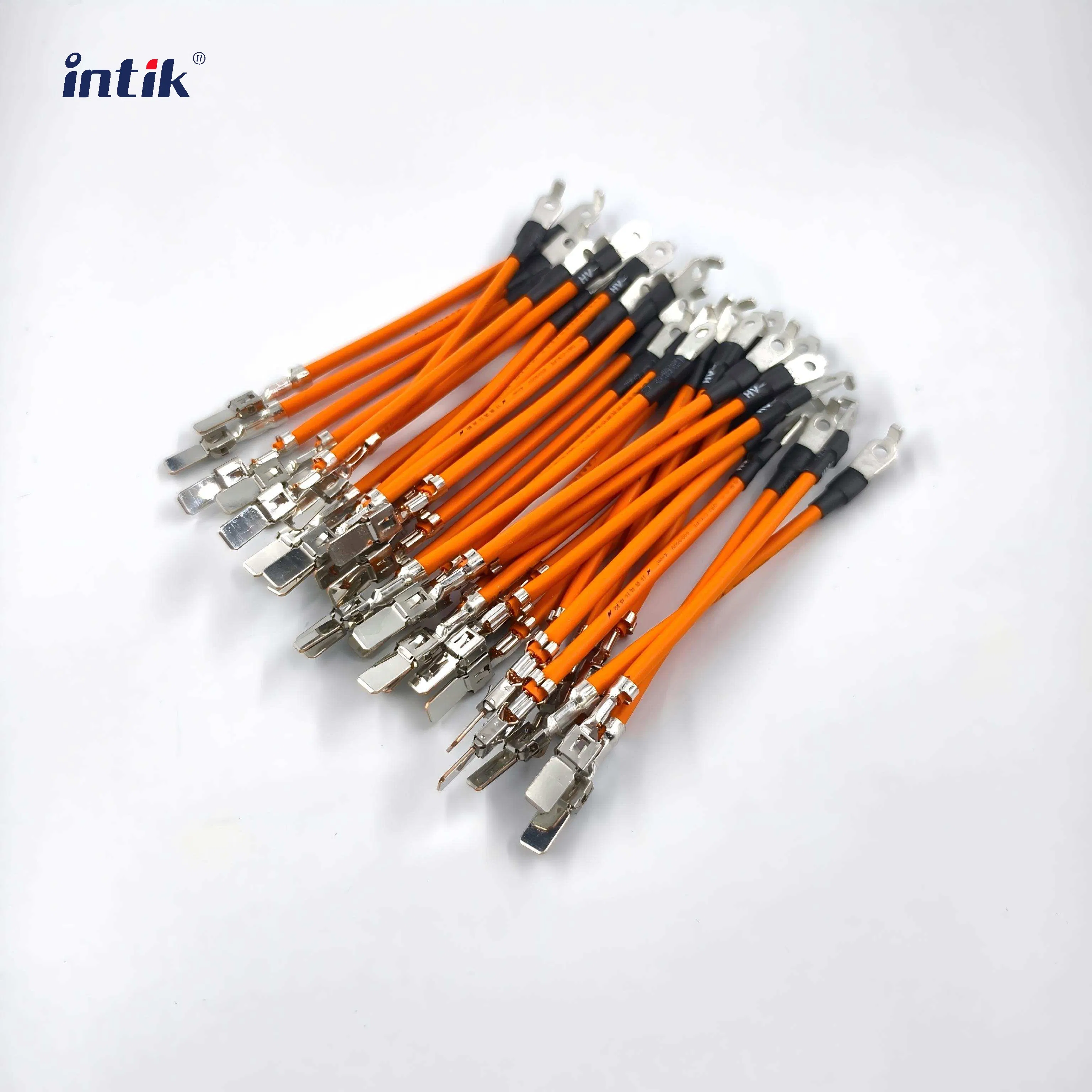 Electric Vehicle High-Voltage Battery Controller Wiring Harness Solution