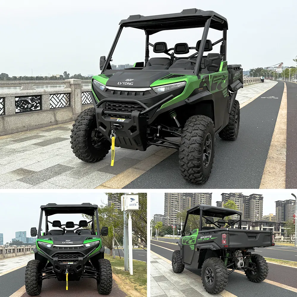 4WD Electric Buggy View 2