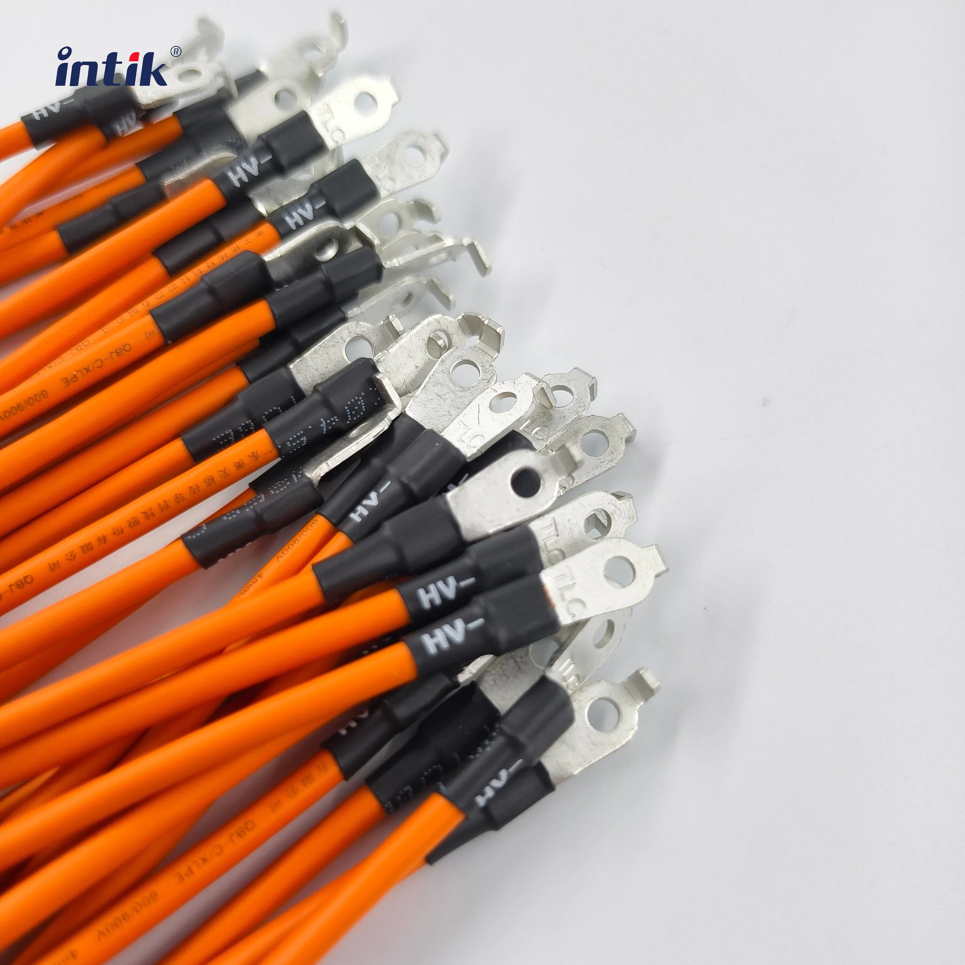 Electric Vehicle High-Voltage Battery Controller Wiring Harness Solution