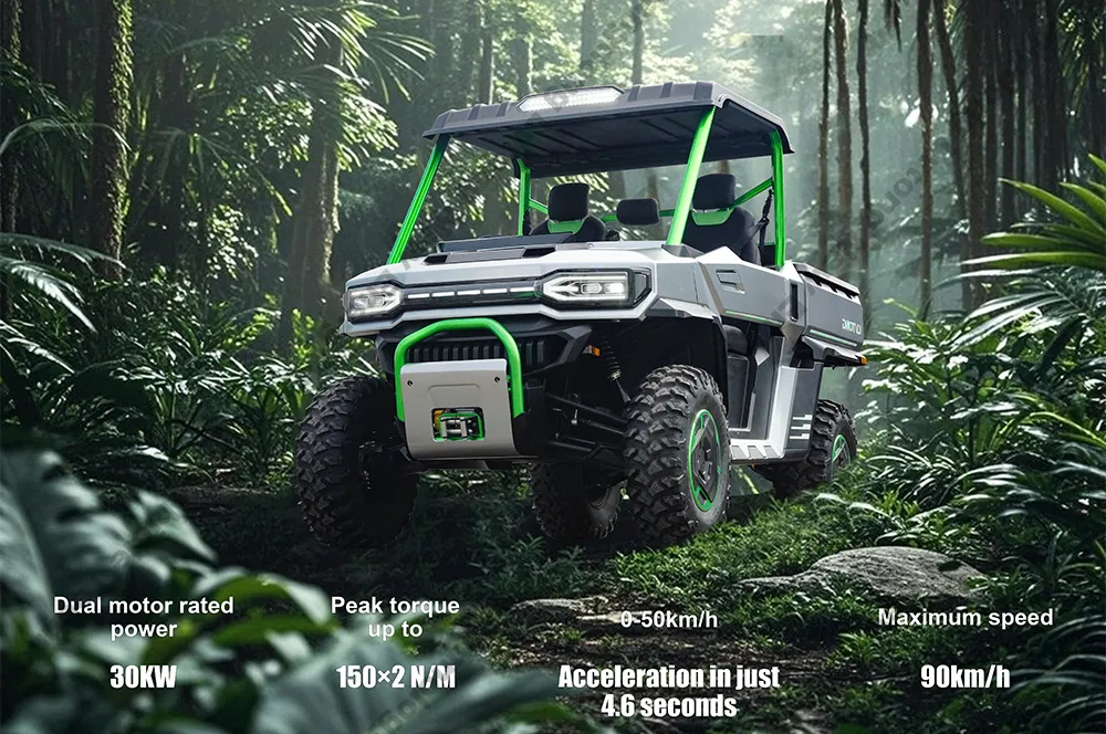 4WD Electric Buggy View 3