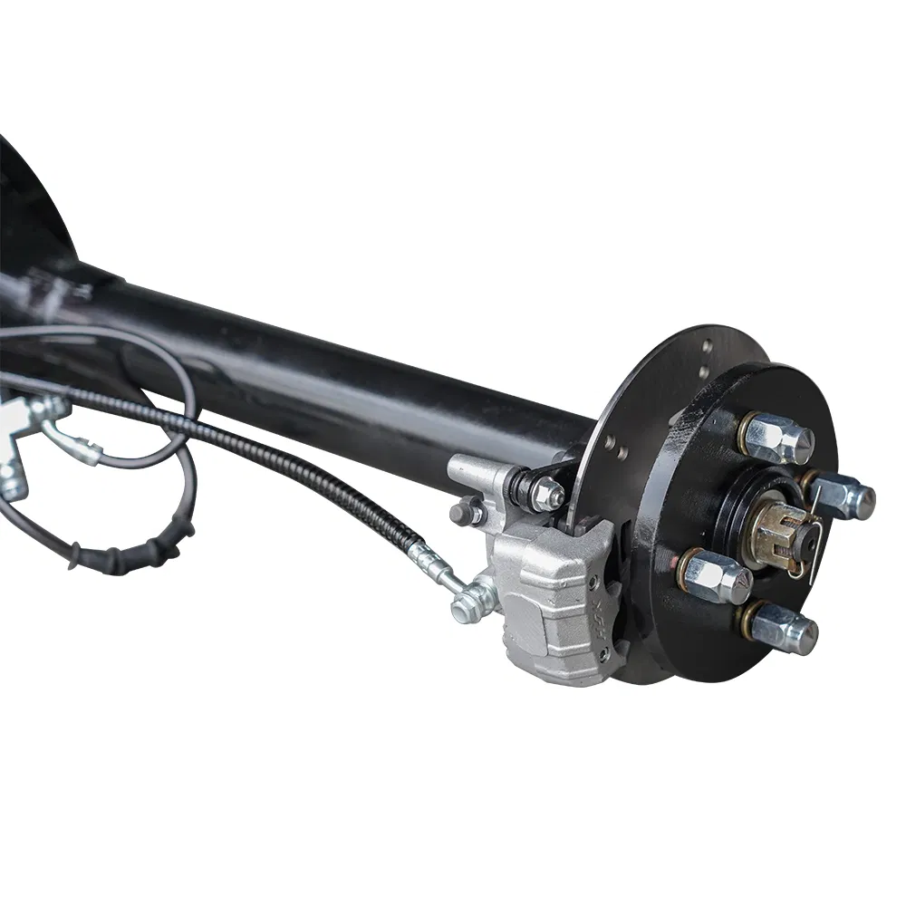 Electric Vehicle Motor 5kw Pmsm Motor Disc Brake Differential Rear Axle Drive System