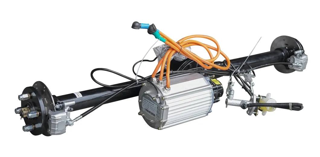 Integrated disc brake rear axle