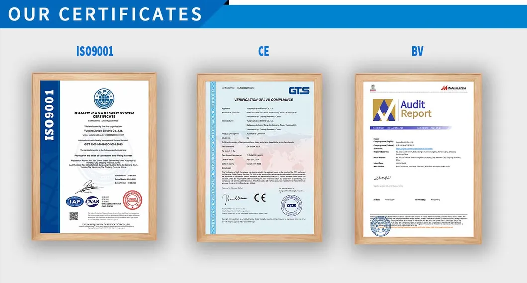 Company Certifications ISO CE BV