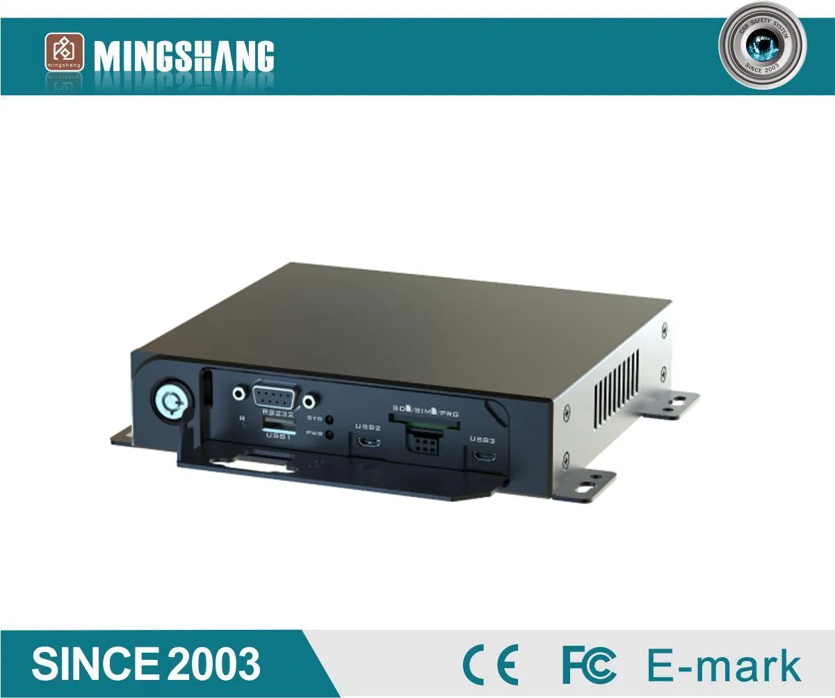 Active Safety Video Termimal--Blind Spot Detection and Driver Safety Monitoring System