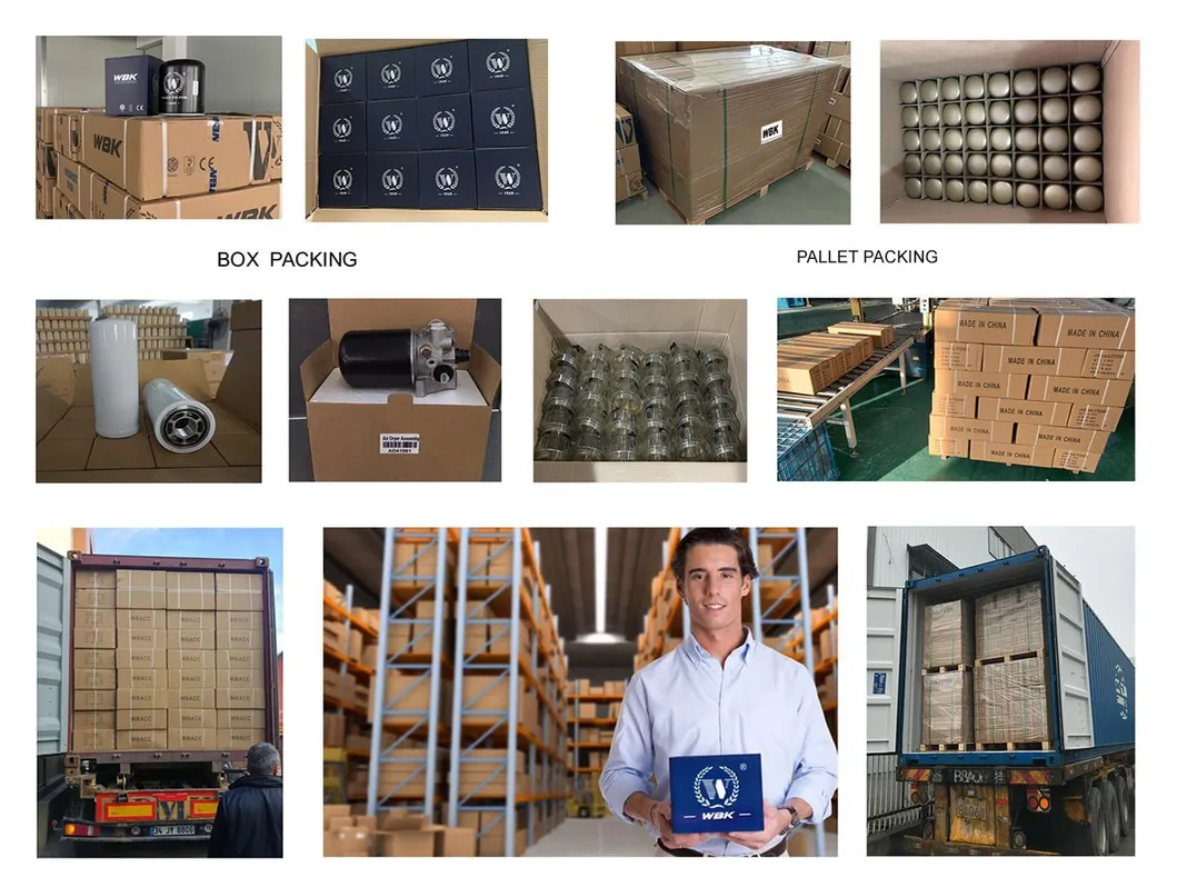 Professional Packaging and Logisitics