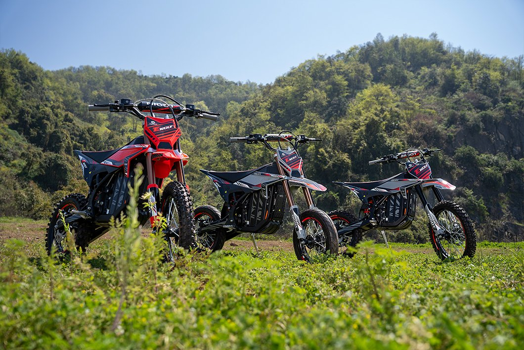 E-WOLF Trail Bike Foldable Handlebar Integrated Lighting System