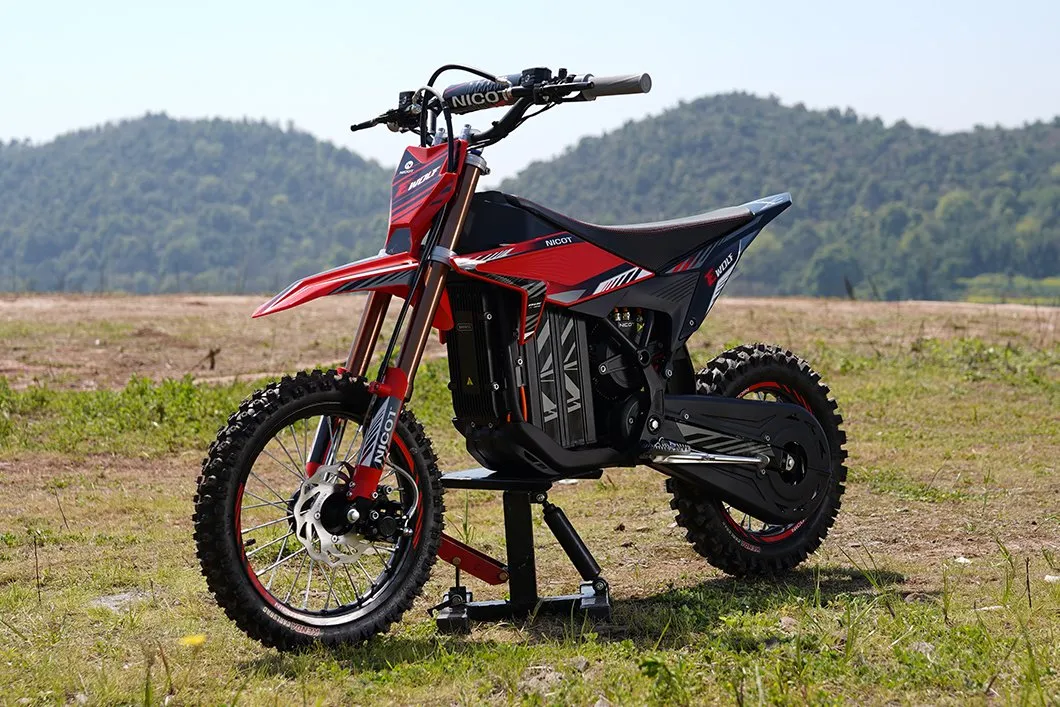 E-WOLF Trail Bike Detail 4