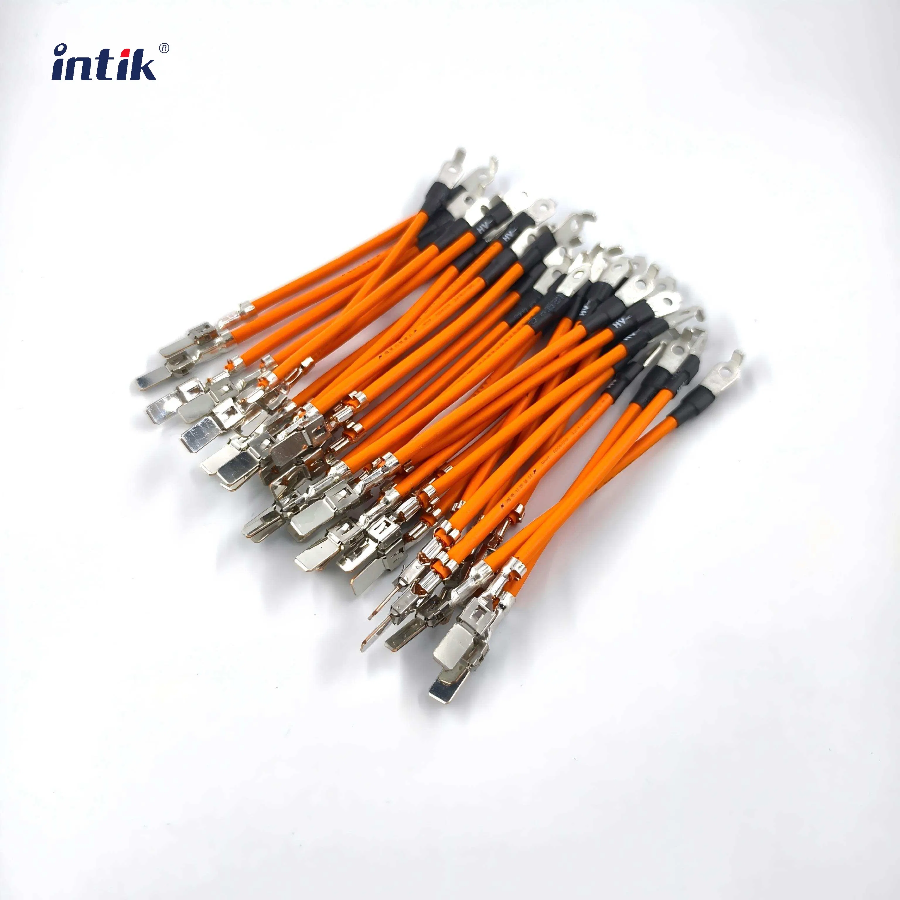 Electric Vehicle High-Voltage Battery Controller Wiring Harness Solution