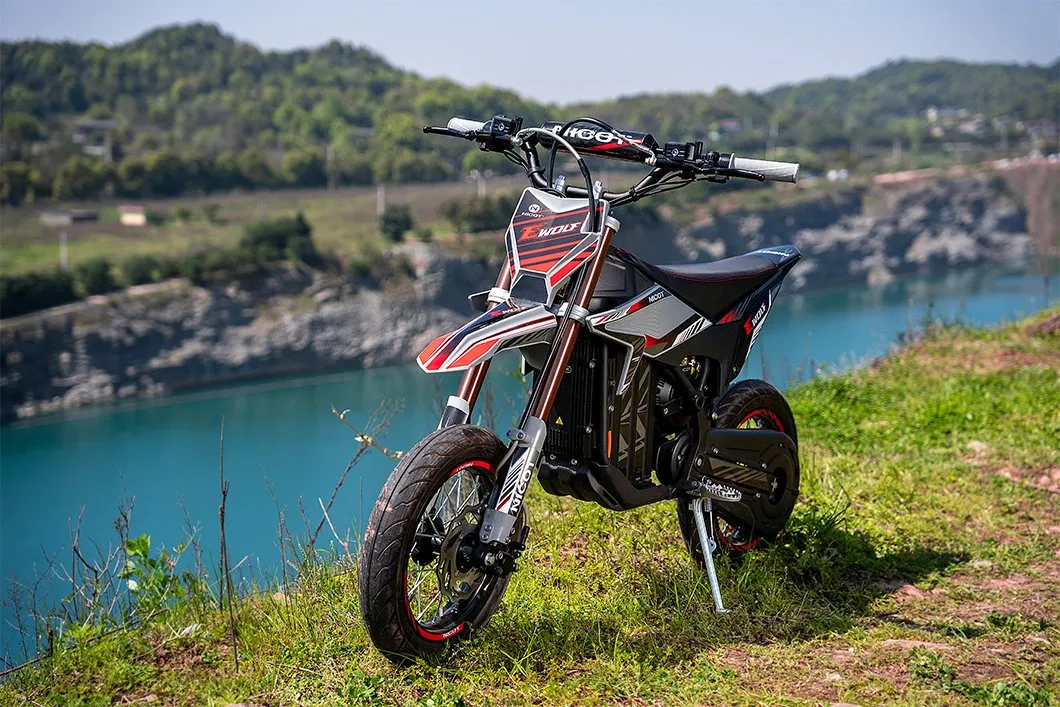 E-WOLF Trail Bike Detail 2