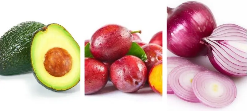 نطاق تطبيق آلة الفرز
