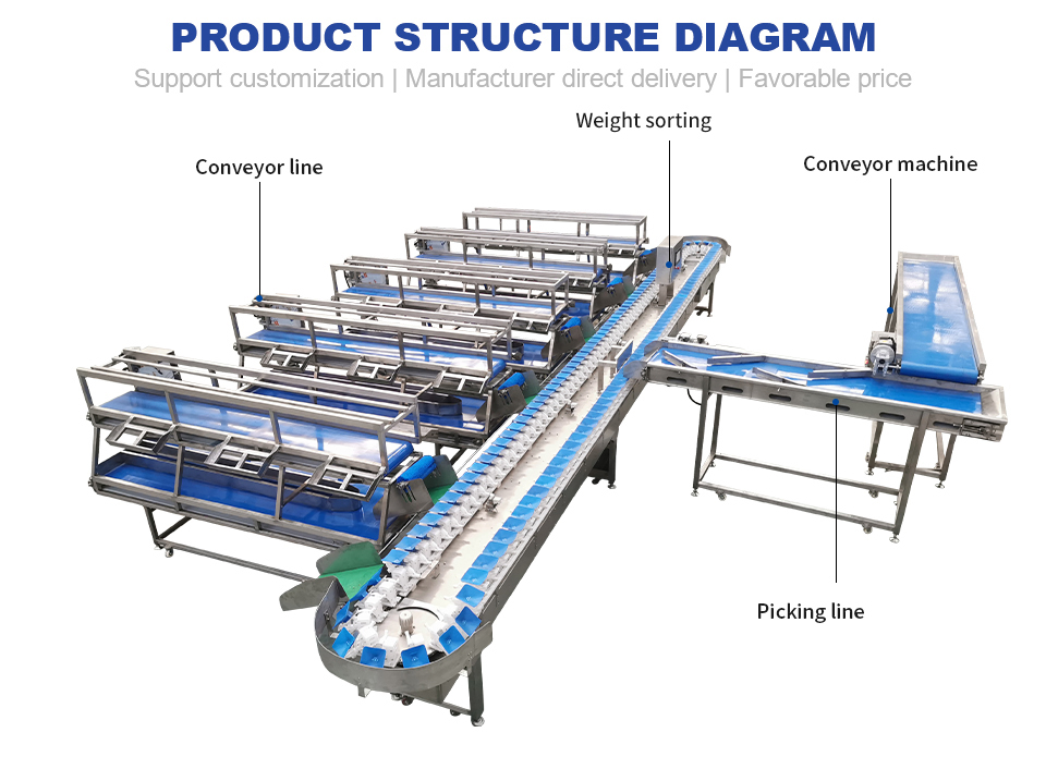 Tropical Fruits Like Mangosteen Get Graded Via Reliable Fruit Sorting Machine